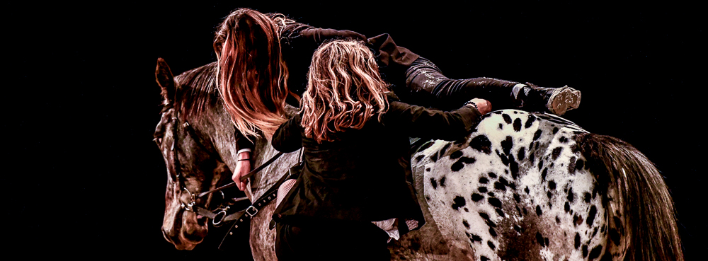 Angers 20221112-3554