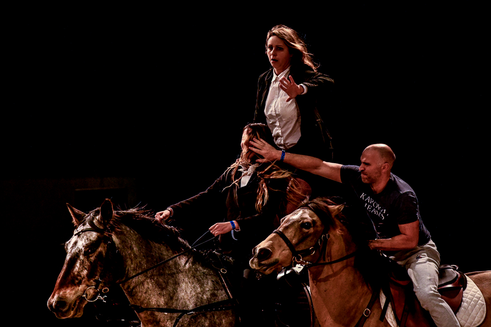 Angers 20221112-3556