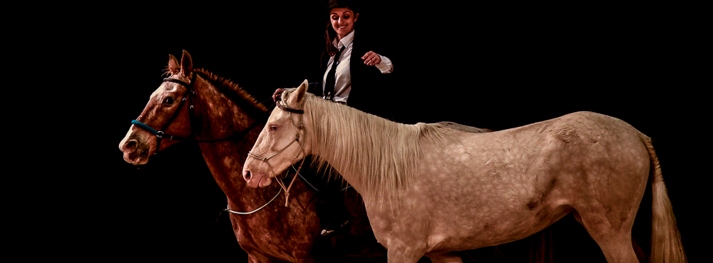 Angers 20221112-3562