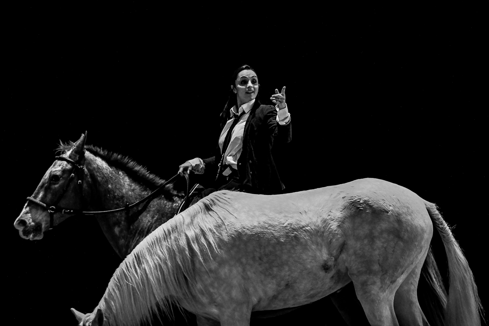 Angers 20221112-3564