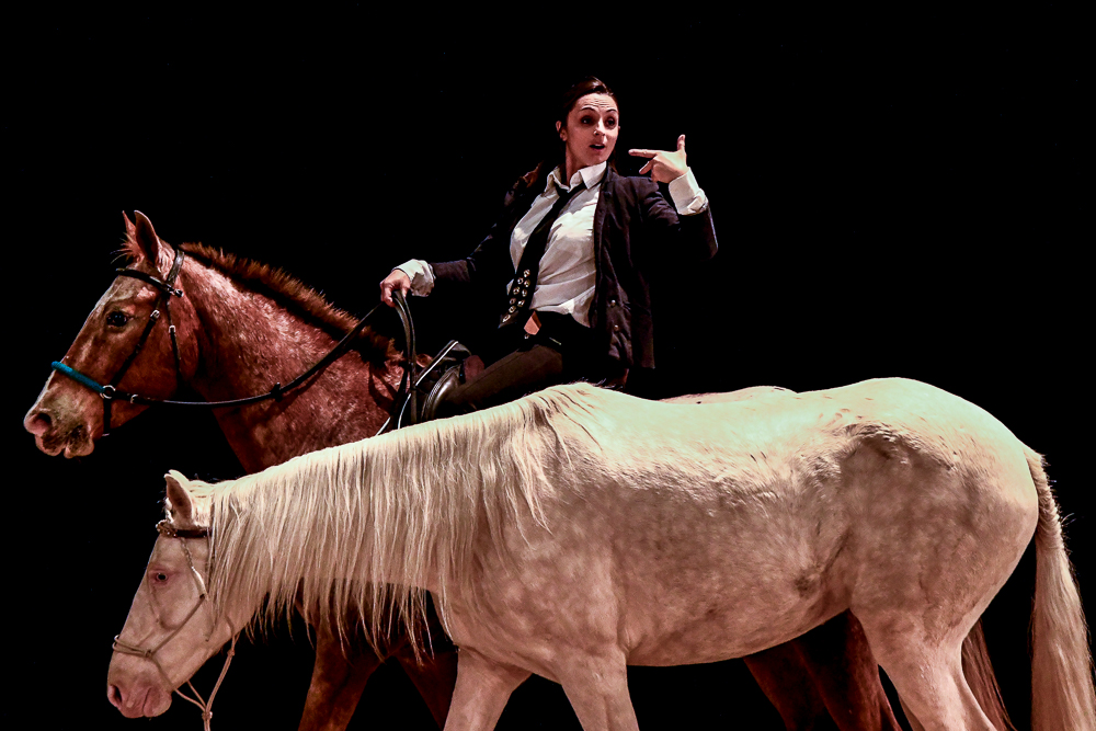 Angers 20221112-3568