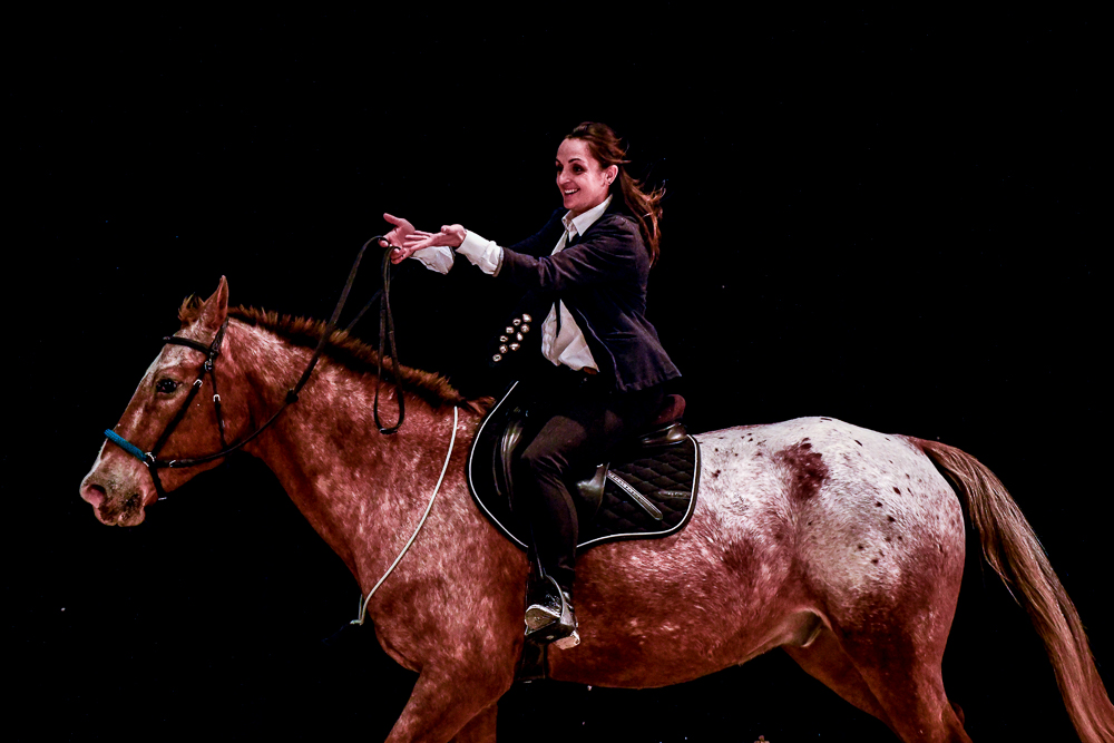 Angers 20221112-3572