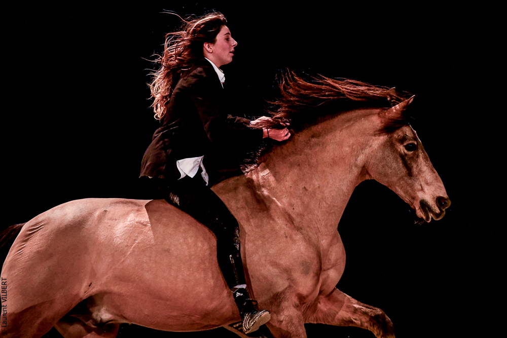 Angers 20221112-3579