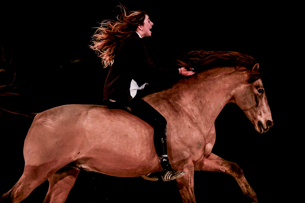 Angers 20221112-3581