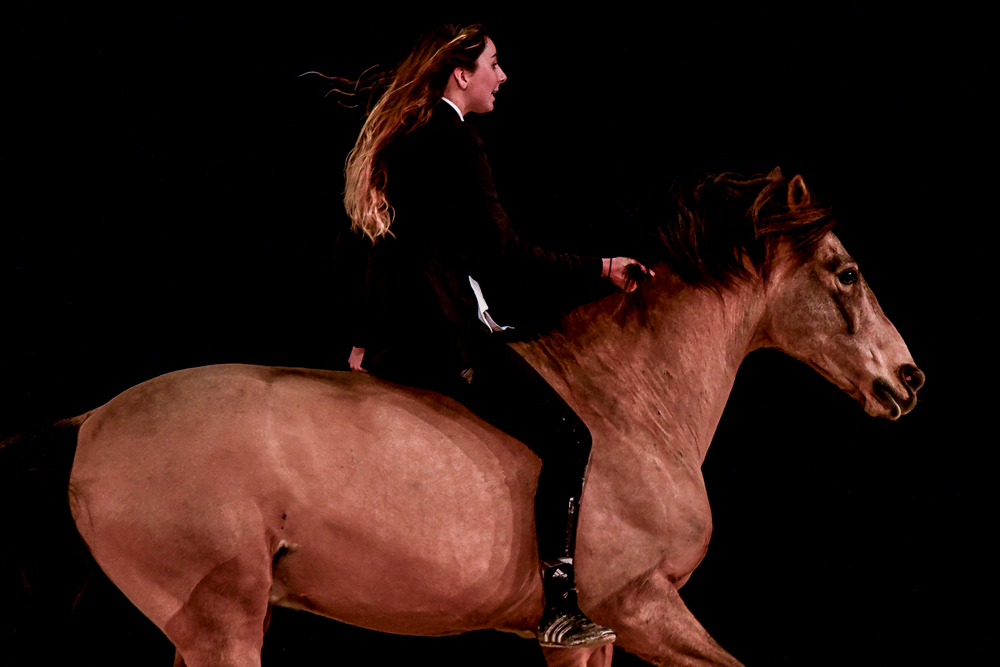 Angers 20221112-3582