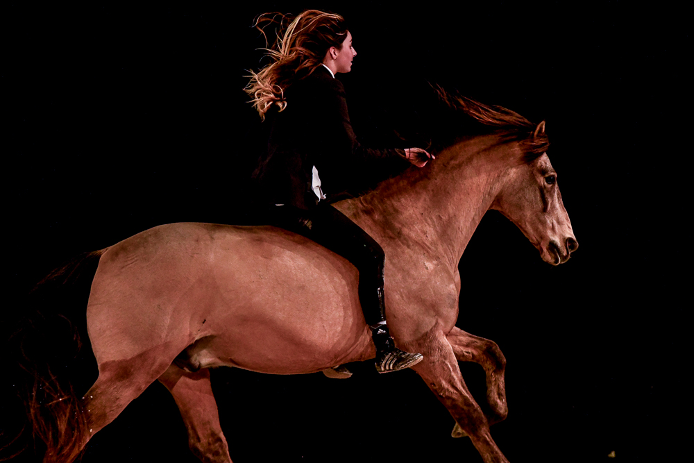 Angers 20221112-3583