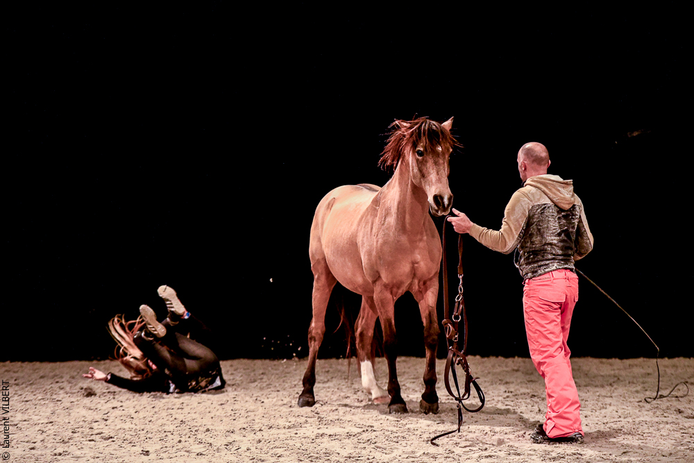 Angers 20221112-3594