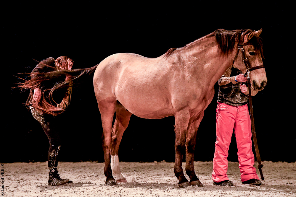 Angers 20221112-3597