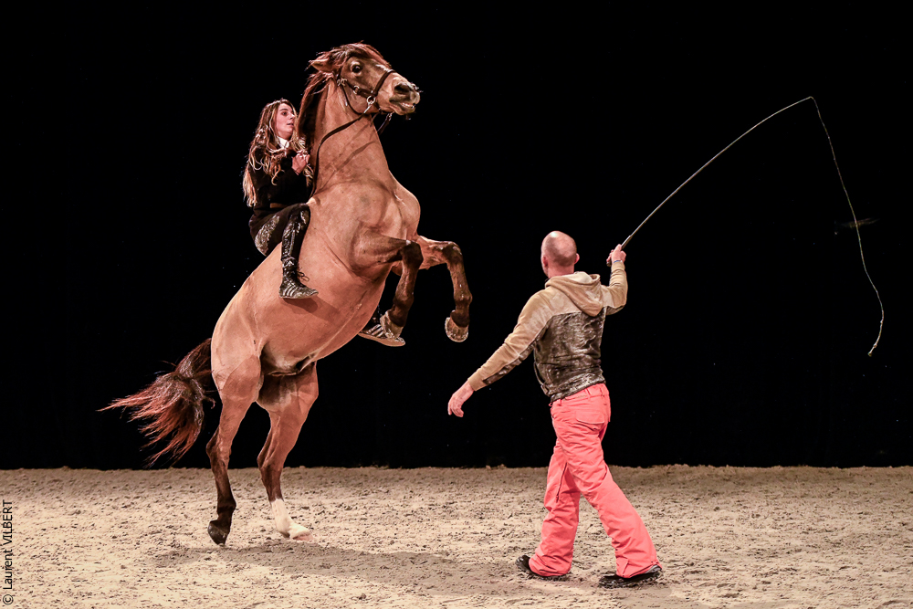 Angers 20221112-3603