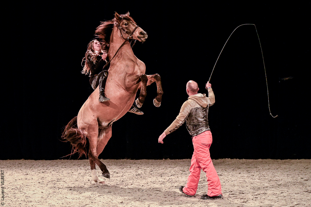 Angers 20221112-3604