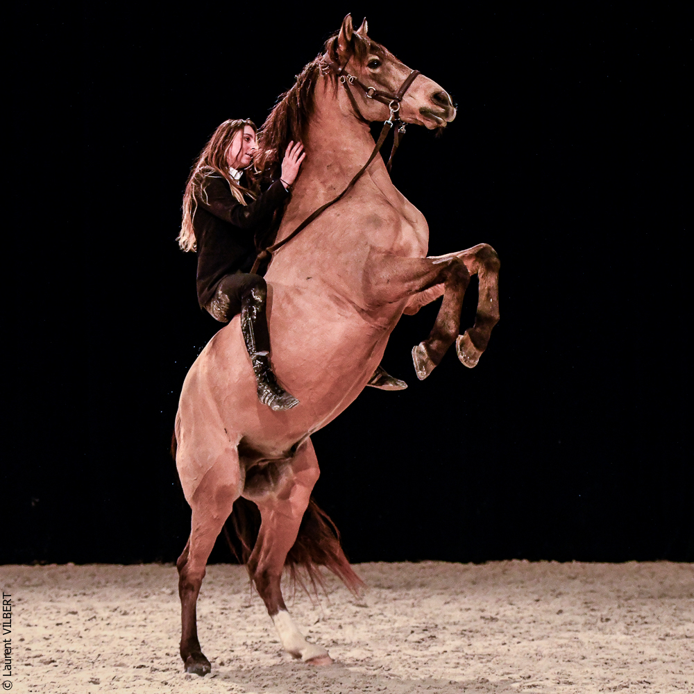 Angers 20221112-3616