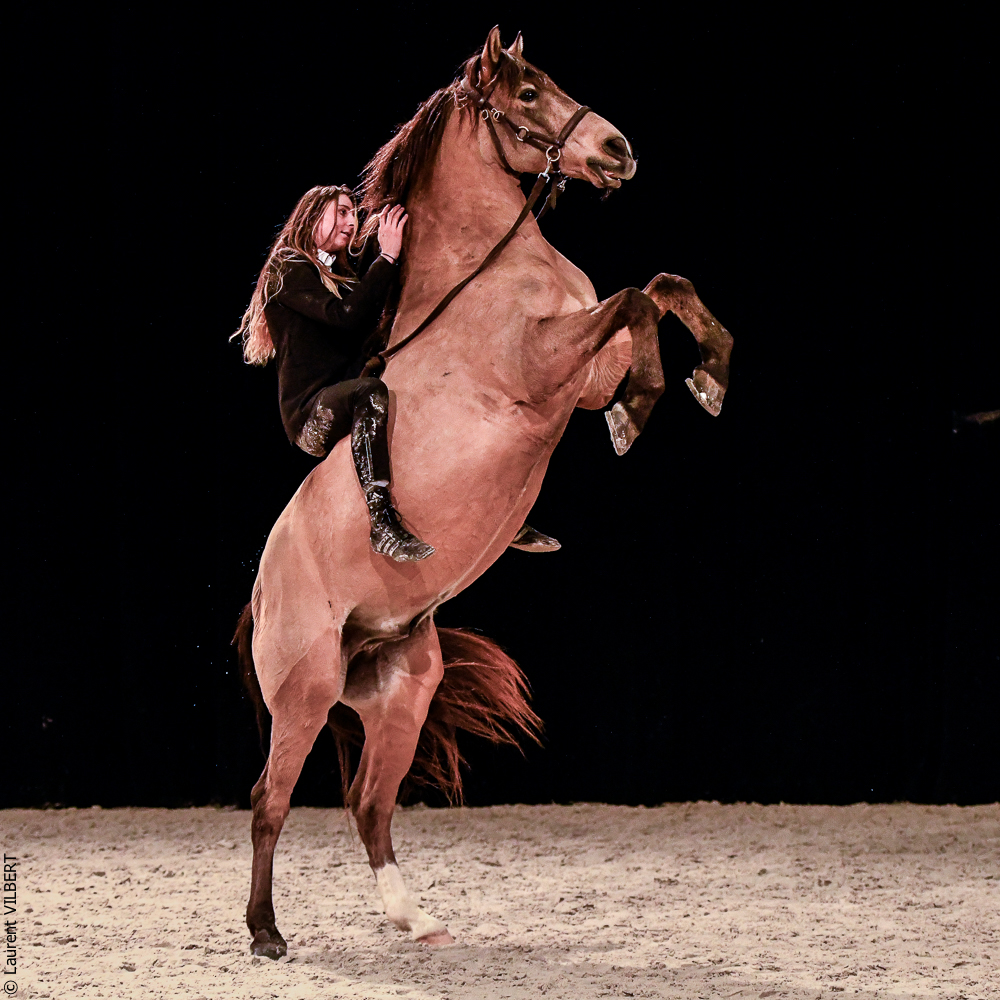 Angers 20221112-3617