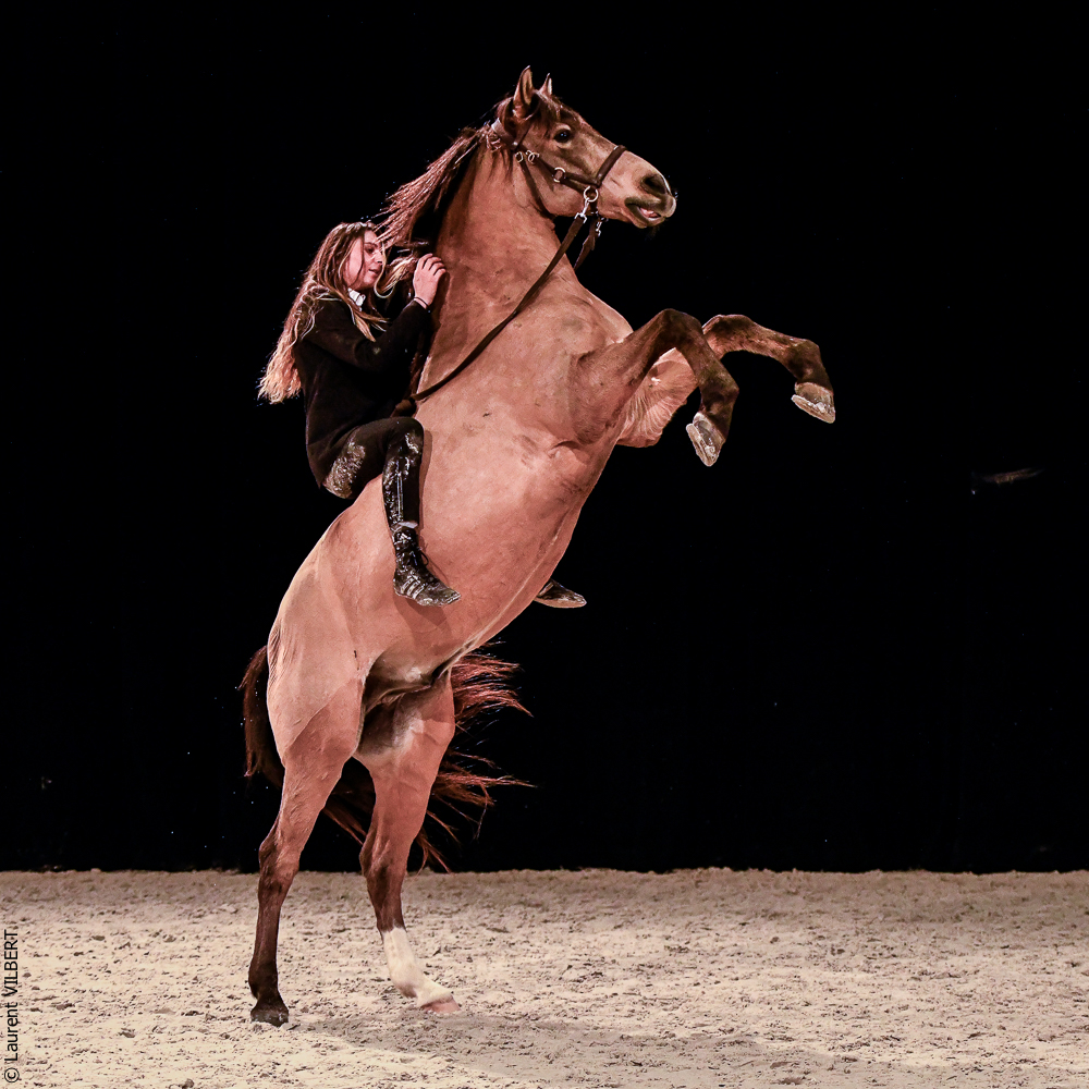 Angers 20221112-3618