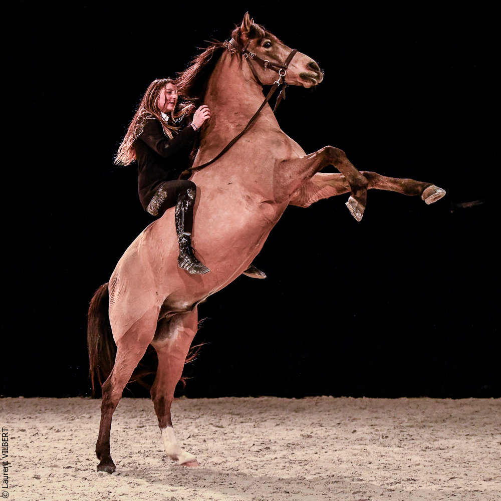 Angers 20221112-3619