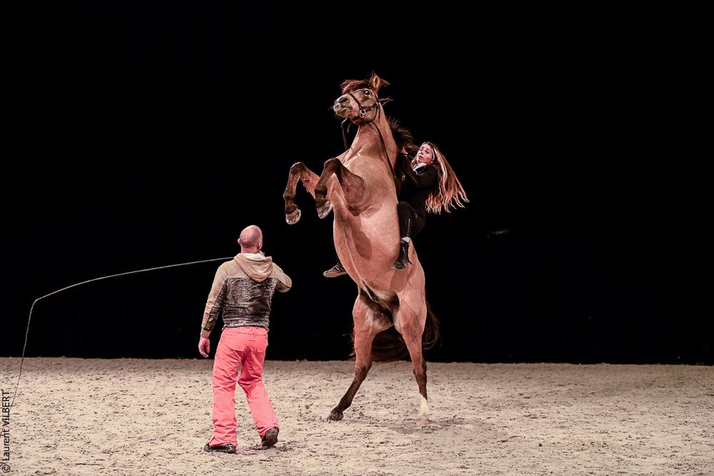 Angers 20221112-3625