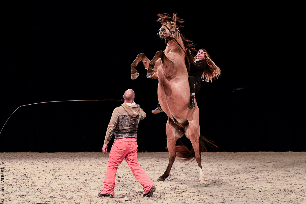 Angers 20221112-3626