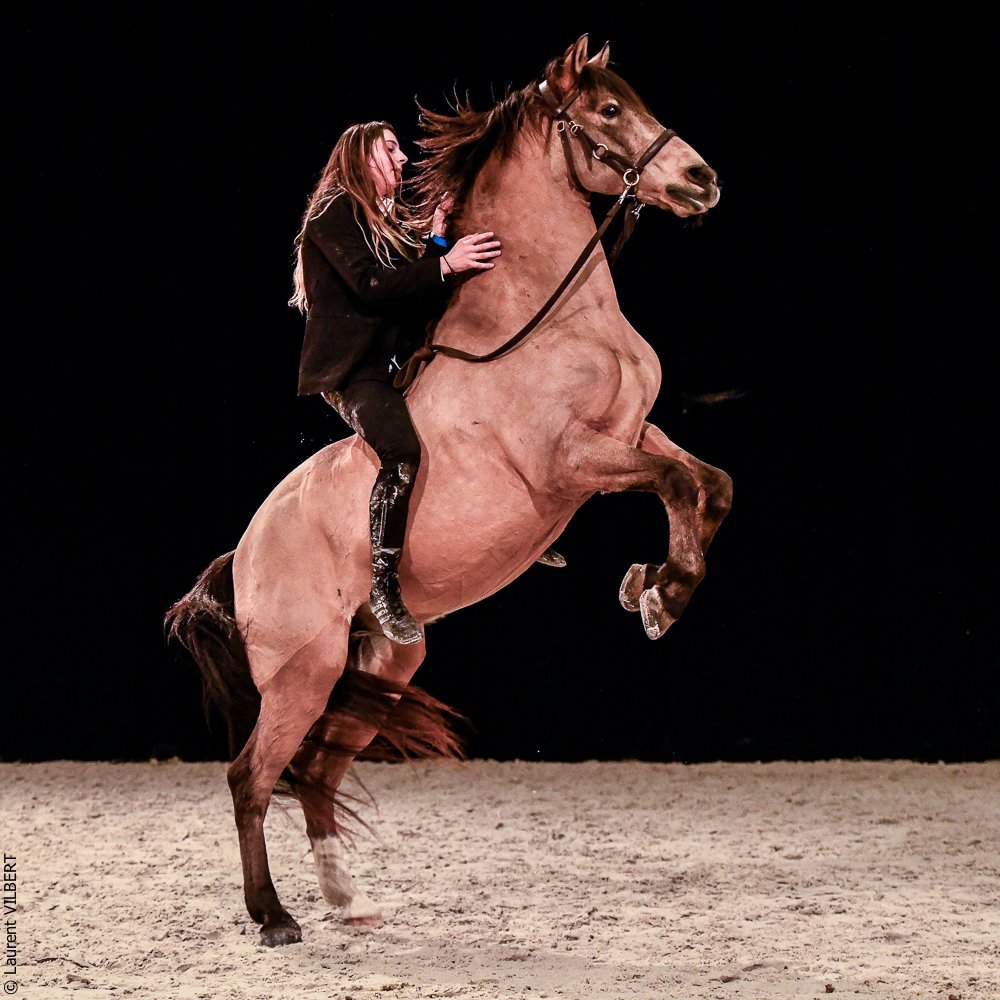 Angers 20221112-3630