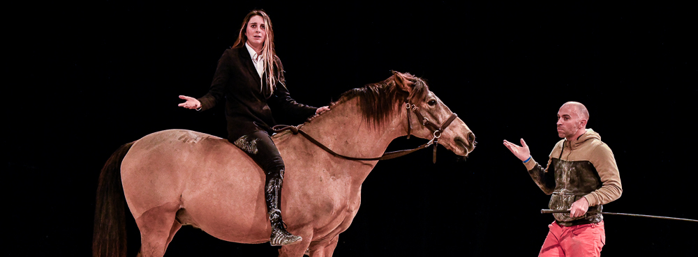 Angers 20221112-3638