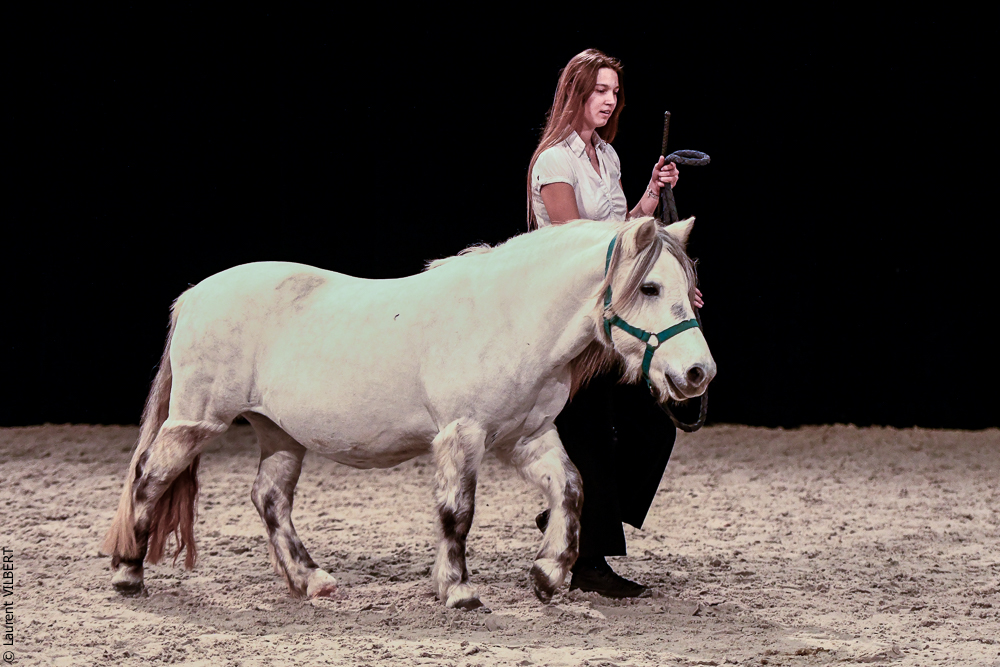 Angers 20221112-3654