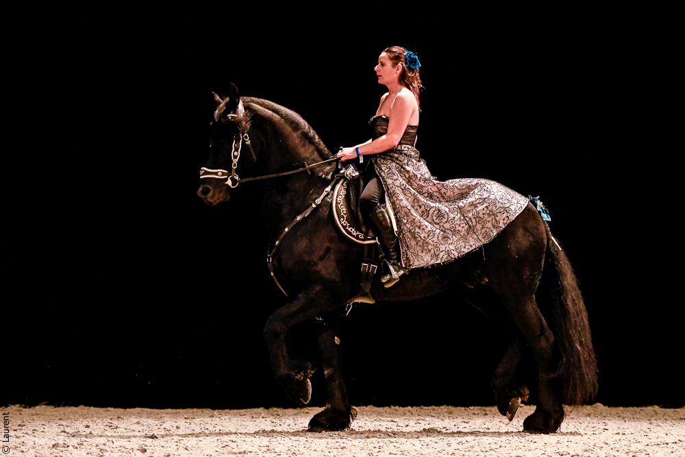 Angers 20221111-0690