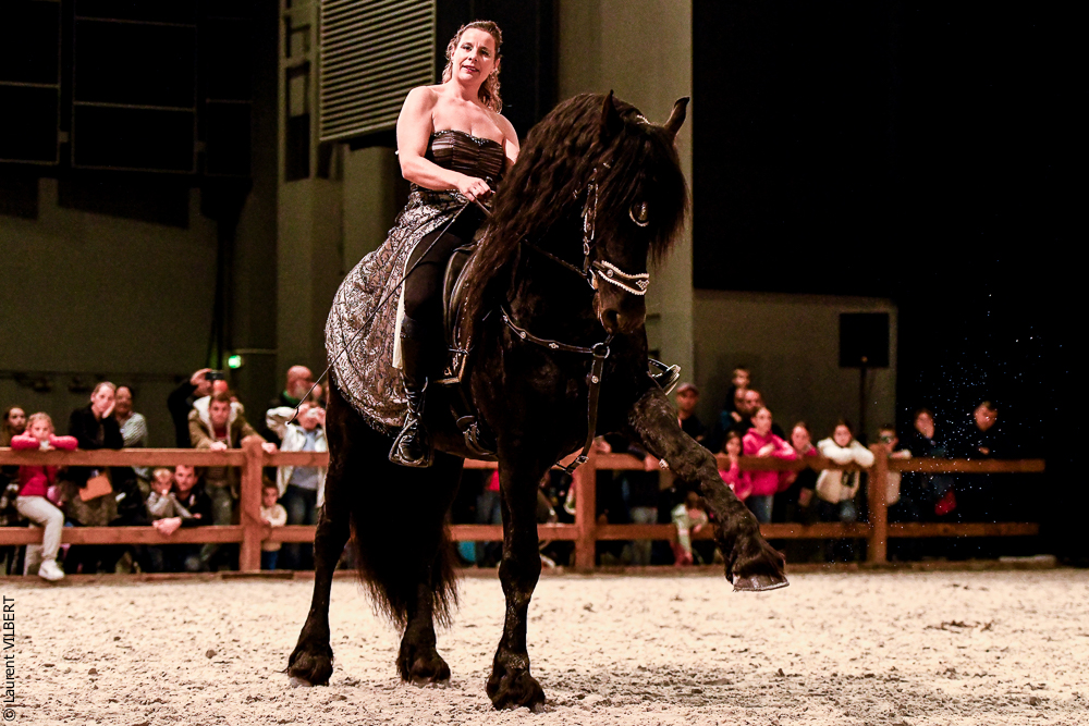 Angers 20221111-0695