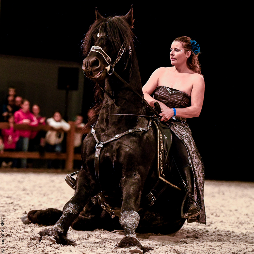 Angers 20221111-0699