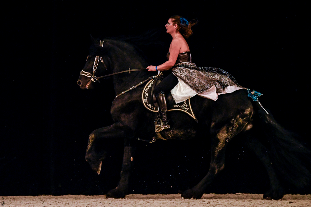 Angers 20221111-0706