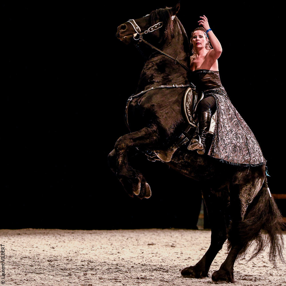 Angers 20221111-0724