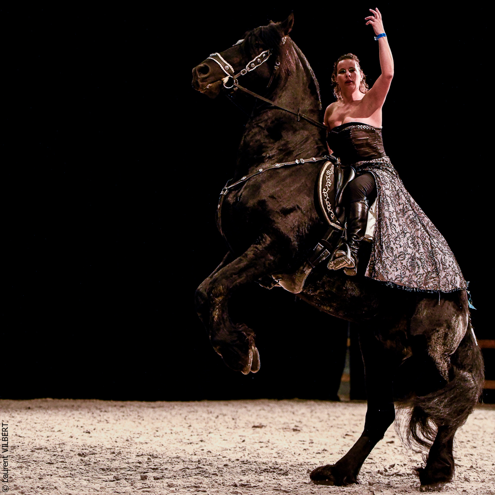 Angers 20221111-0725