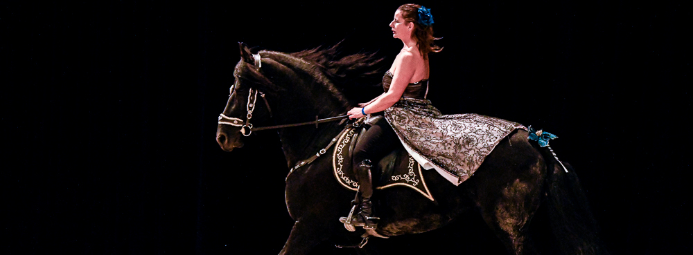 Angers 20221111-0734