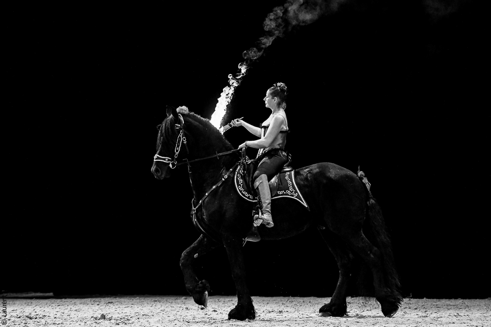 Angers 20221112-3138