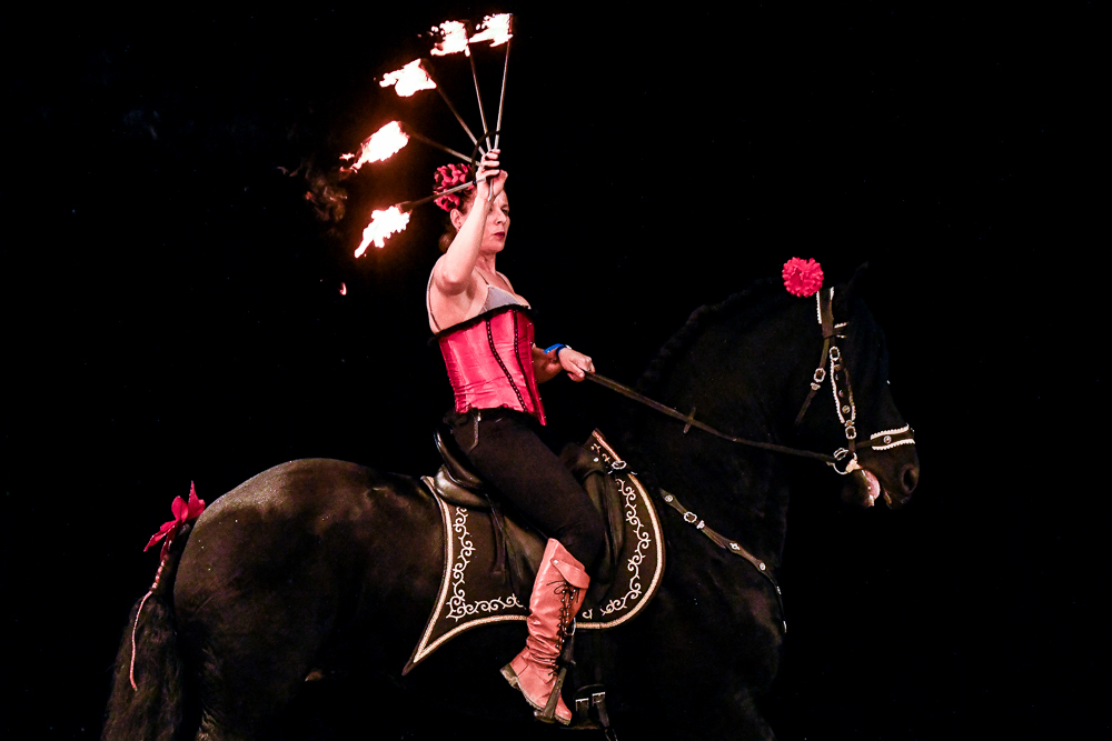 Angers 20221112-3143