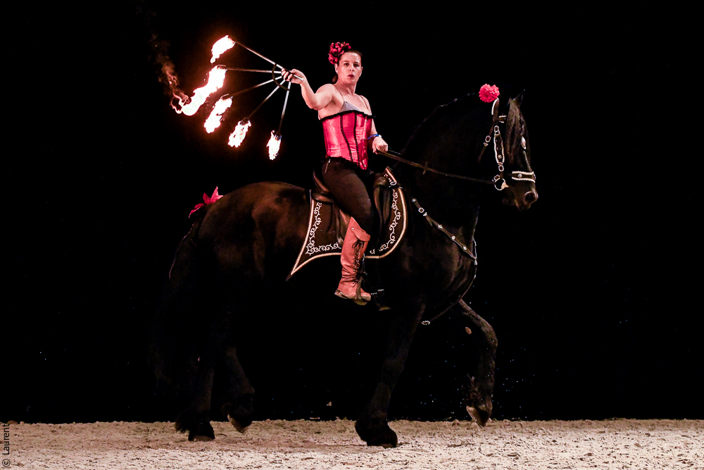 Angers 20221112-3145