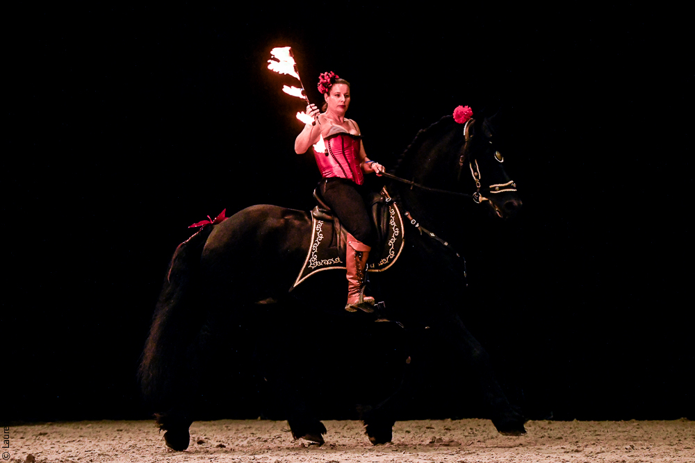 Angers 20221112-3149