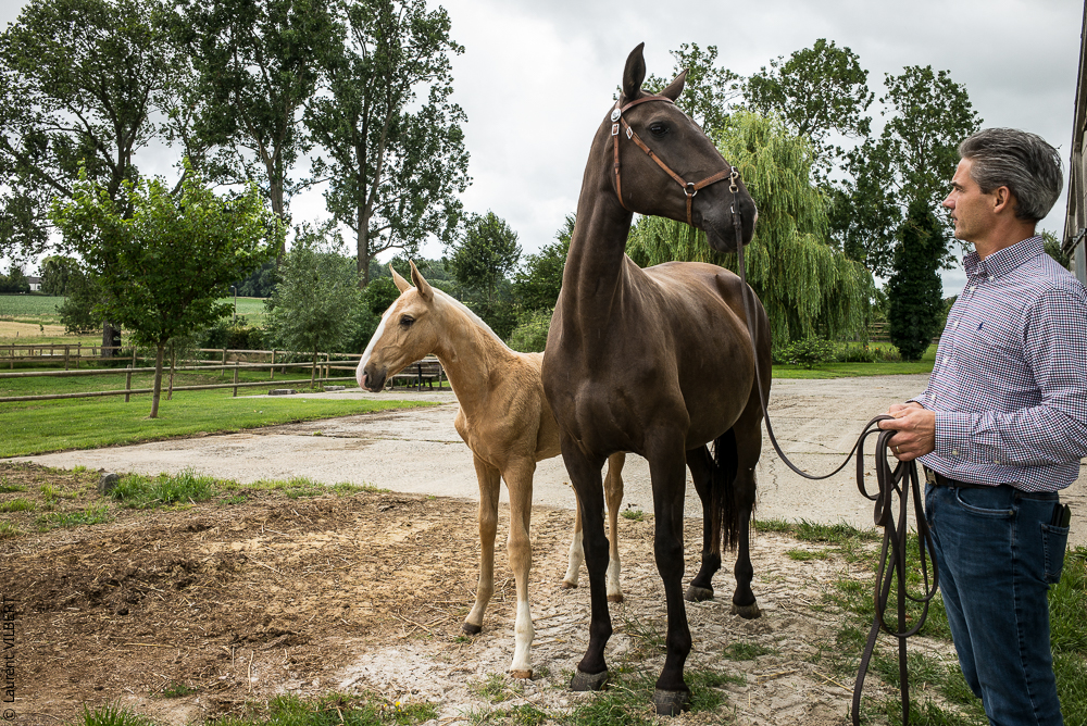 do Luar 20200705-0037