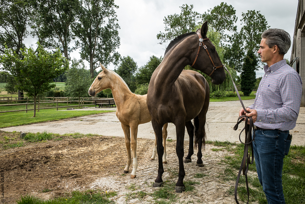 do Luar 20200705-0040