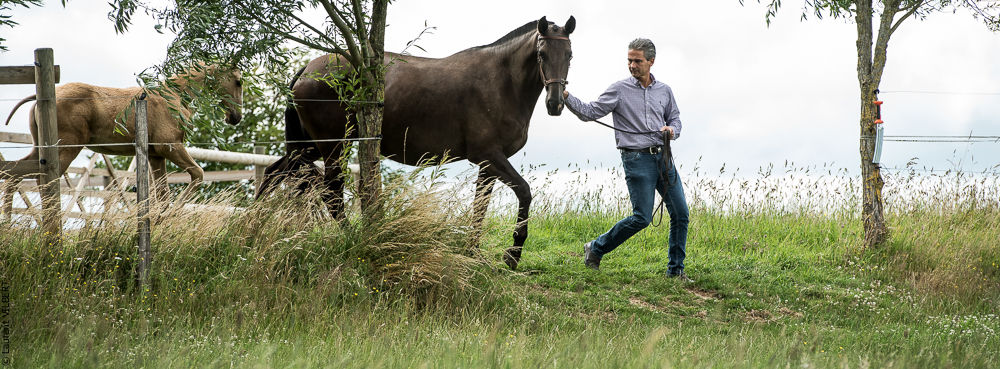 do Luar 20200705-0045