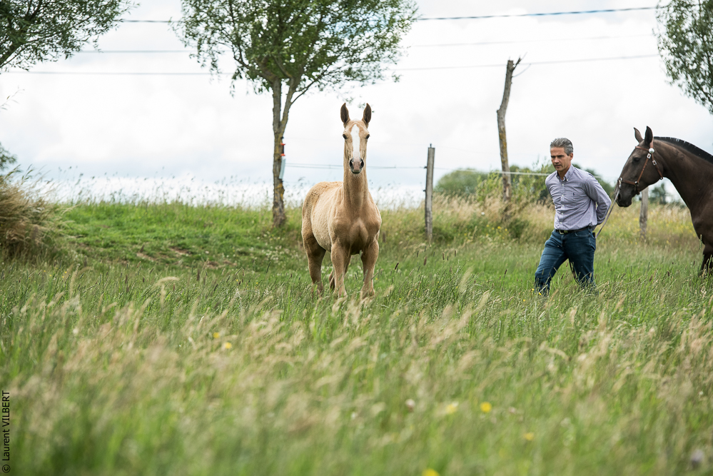 do Luar 20200705-0066
