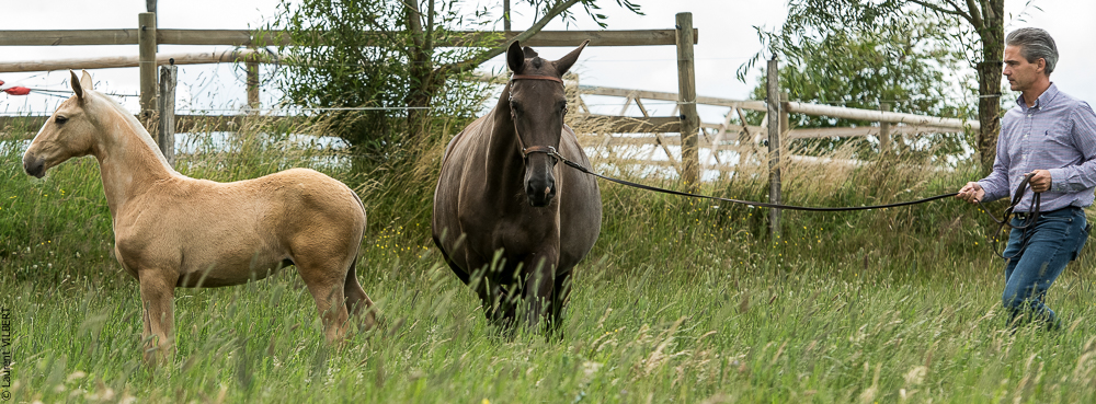 do Luar 20200705-0069