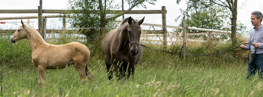 do Luar 20200705-0070