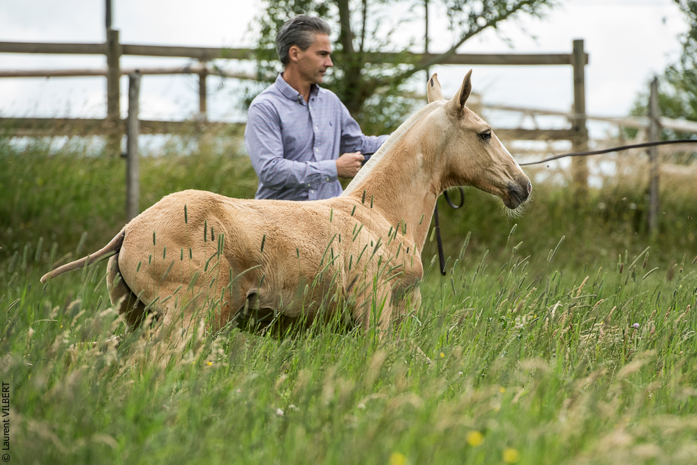 do Luar 20200705-0078