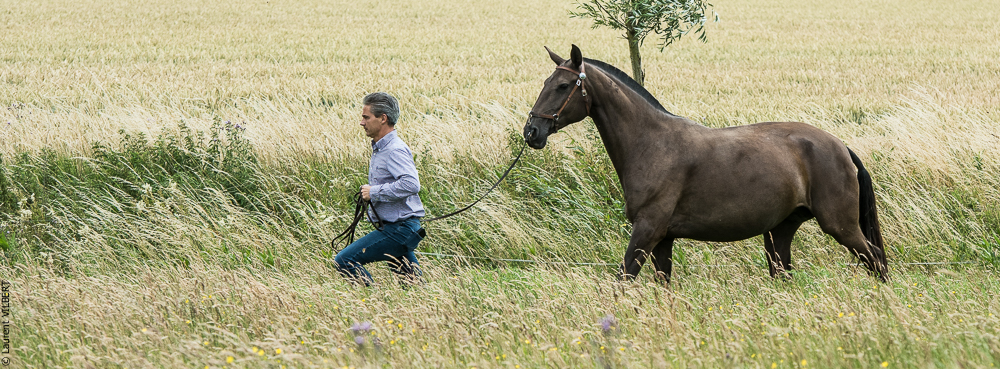 do Luar 20200705-0132