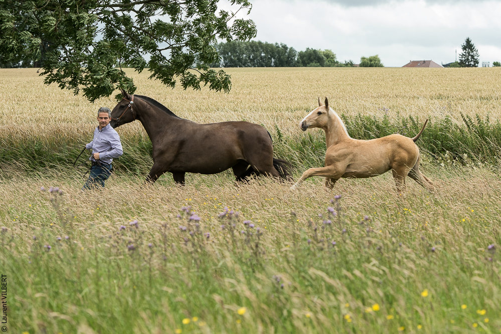 do Luar 20200705-0137