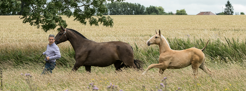 do Luar 20200705-0137