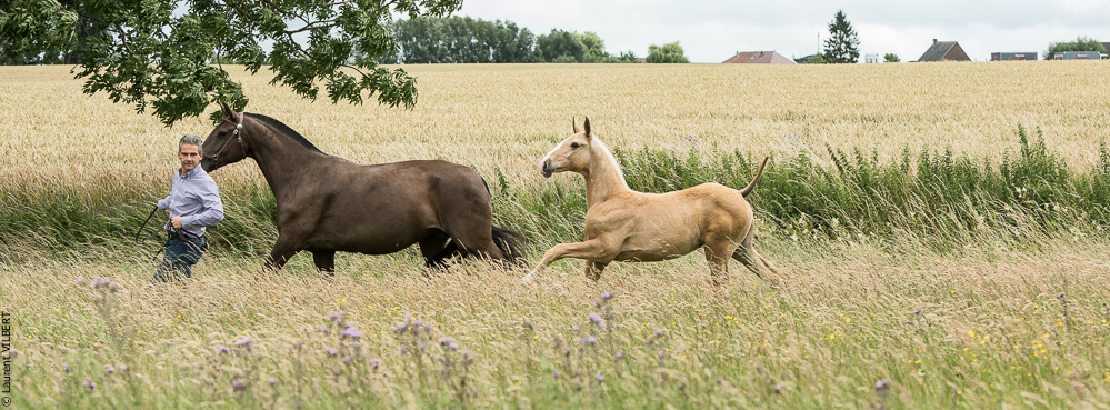 do Luar 20200705-0137