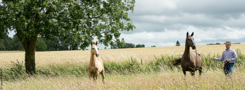 do Luar 20200705-0161