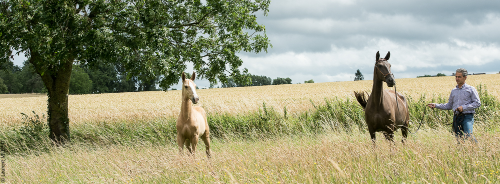 do Luar 20200705-0162