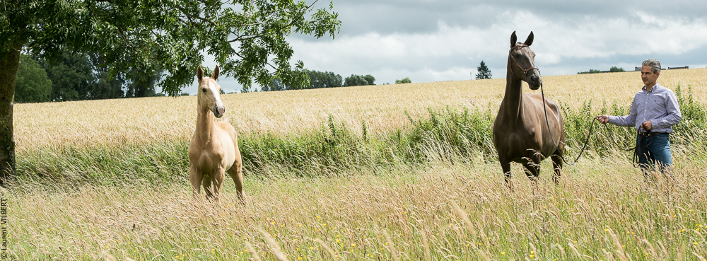 do Luar 20200705-0163