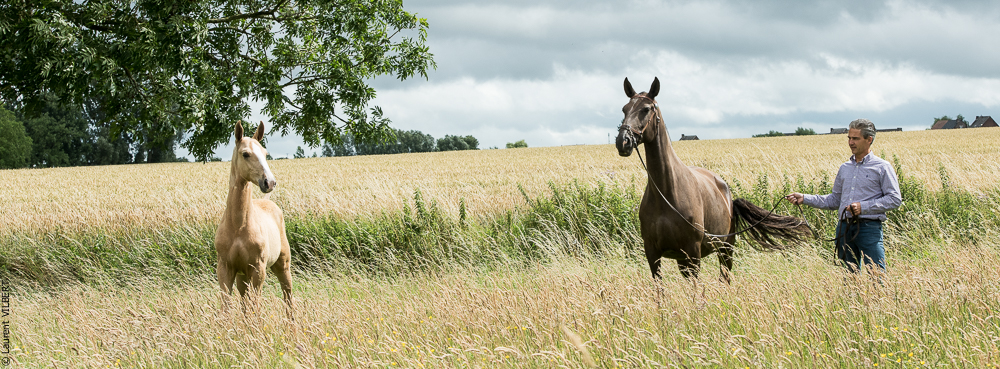 do Luar 20200705-0165