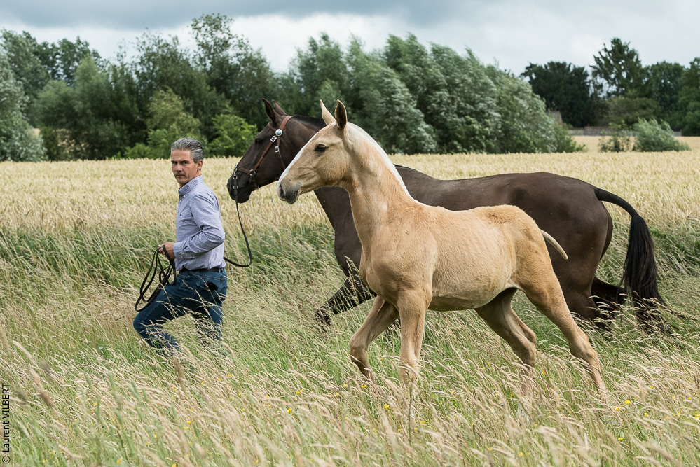 do Luar 20200705-0202